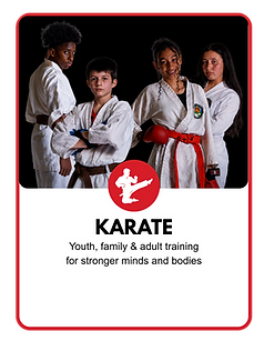Karate Web Box.png