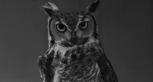 10fde2_15c590c0459b40a48010231baee00d3e~mv2.gif