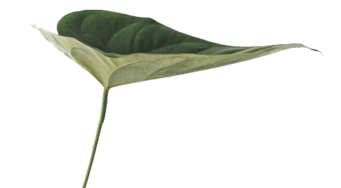70f53ffd13f4dfd7ea7d664672f0f22b.png