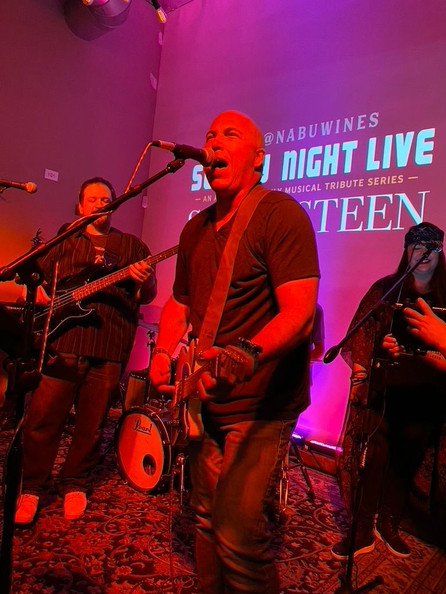 SNL_Springsteen_band.jpeg