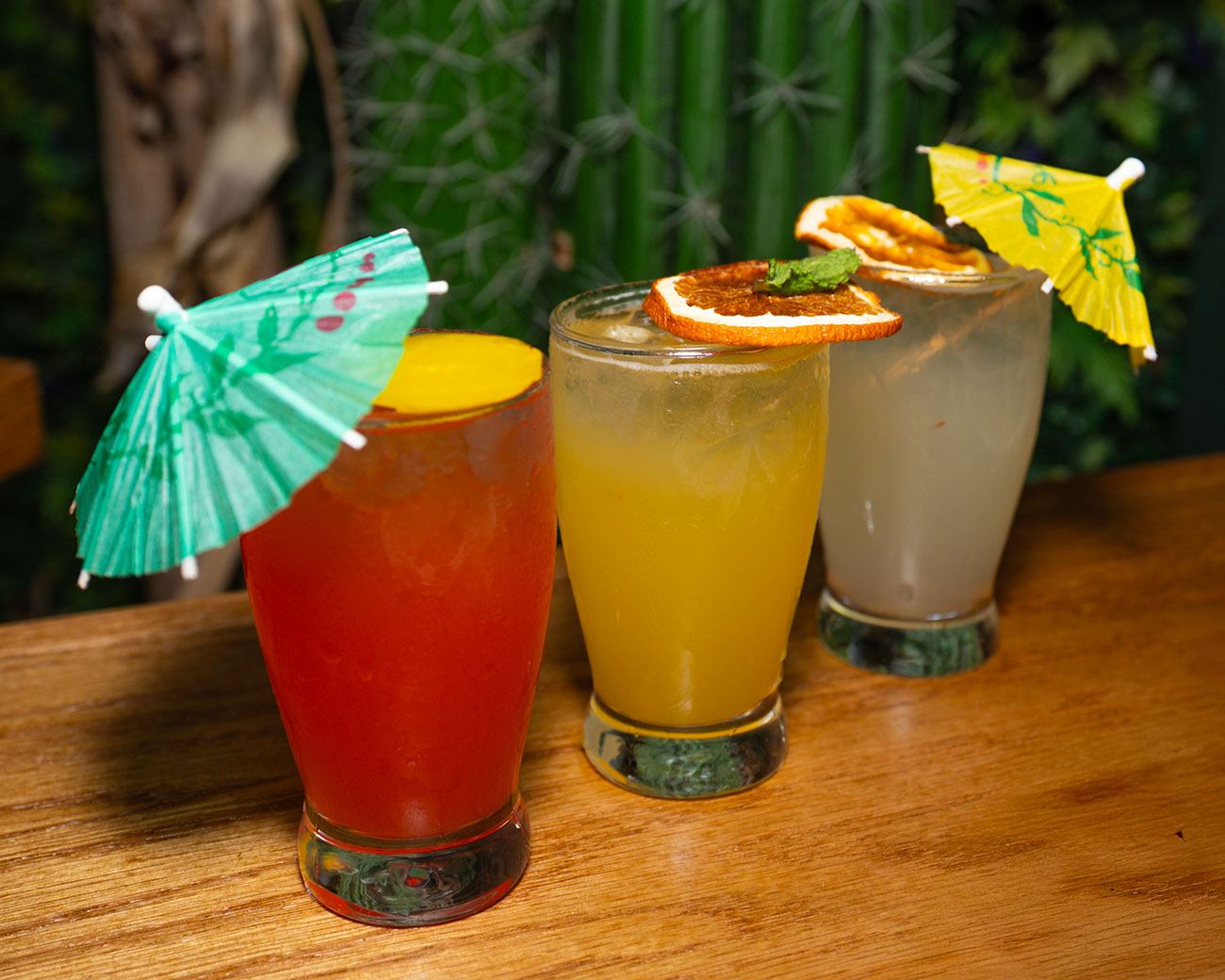 Arranged Food and Objects