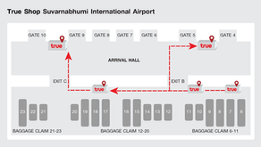 "The Ultimate Based Guide to Choosing the Best Hotels in Bangkok and Beyond "