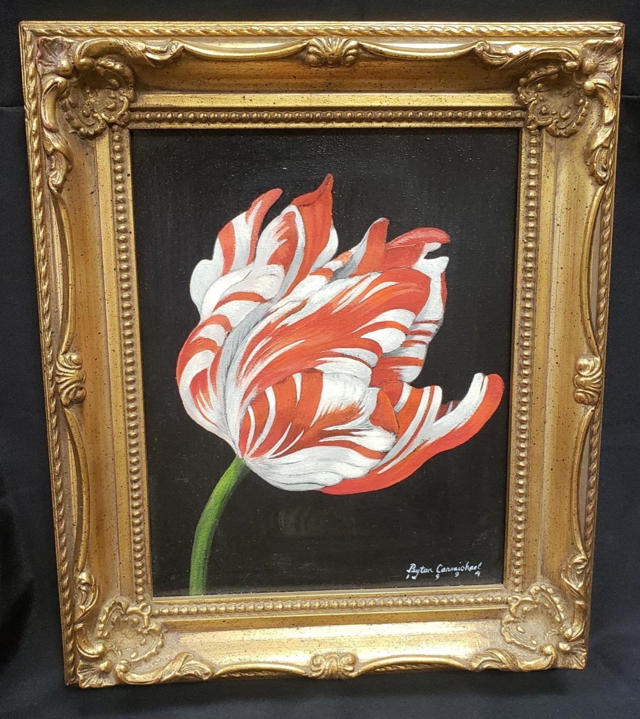Parrot Tulip by Peyton Carmichael