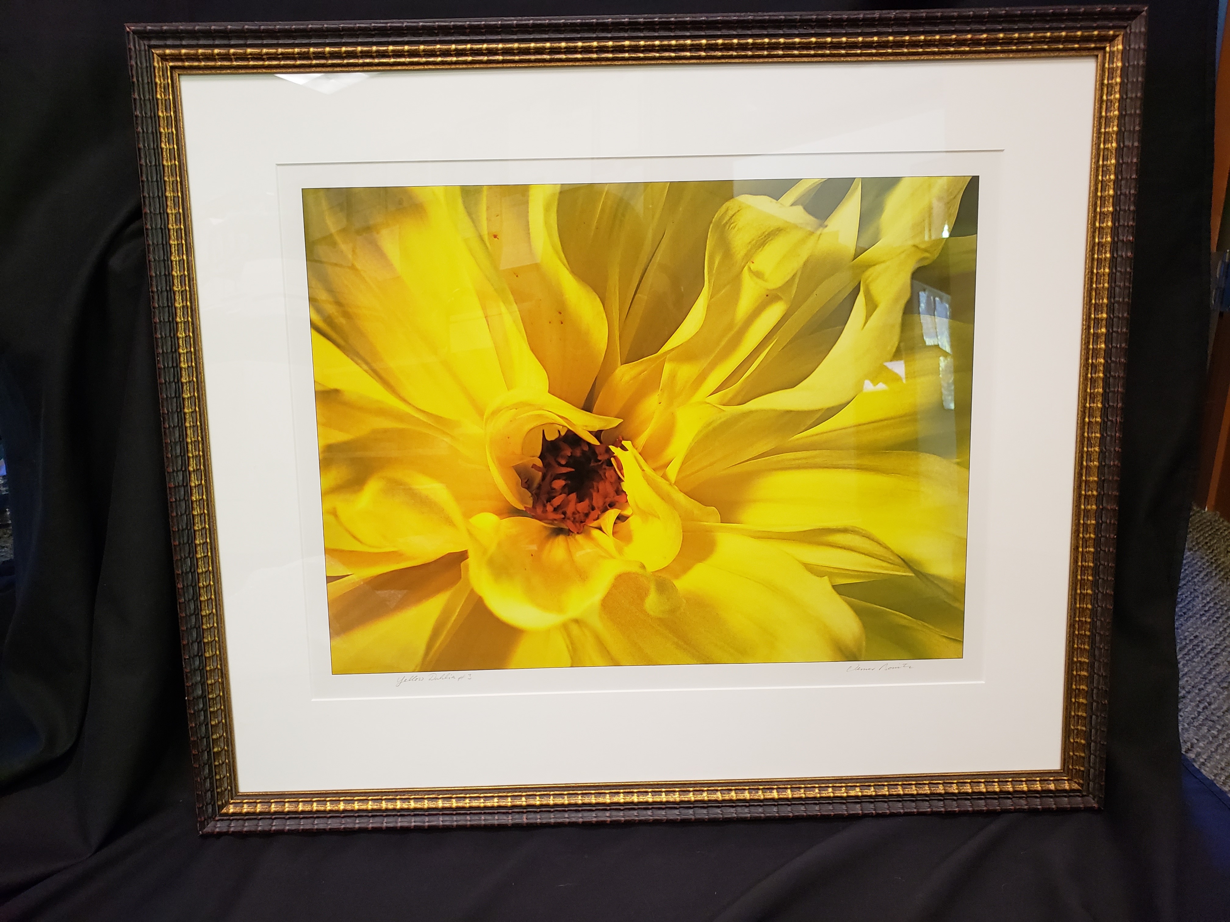 Yellow Dahlia by Werner Bonitz