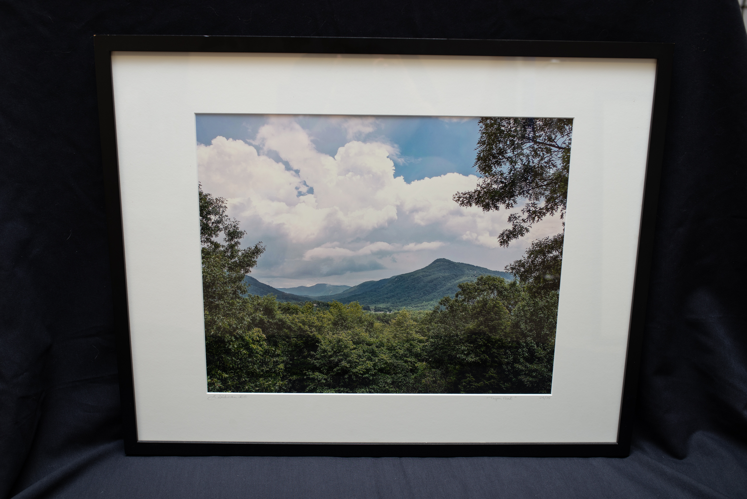 Tryon Peake by Grace Seidman