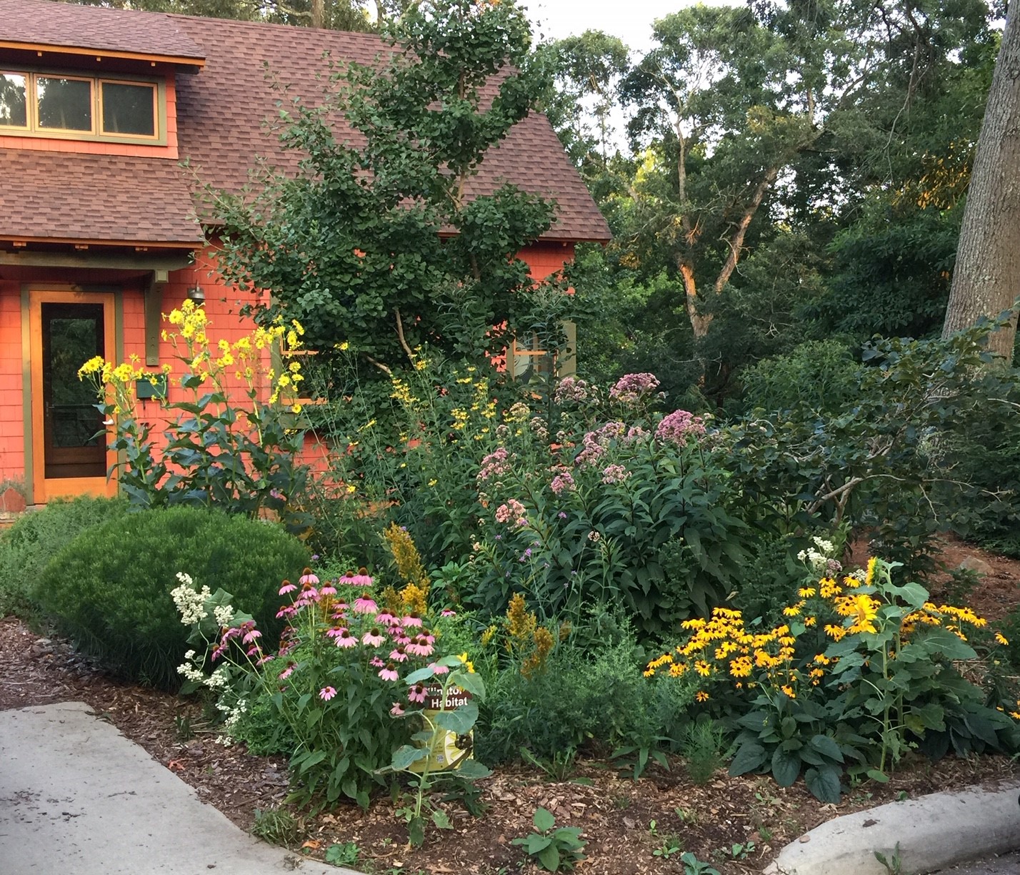 Native Plant Gardening Consultation