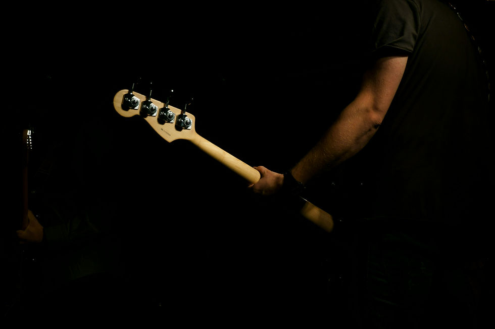 There are countless examples of how bass the instrument and the frequency has shaped music. For a lot of people bass is their favorite part. Here are a list of examples and definitions of notable specific bass examples in music.