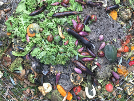 Tis the season of waste among much hunger: Column