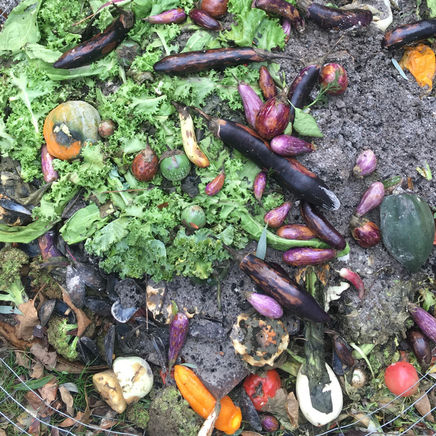 Tis the season of waste among much hunger: Column