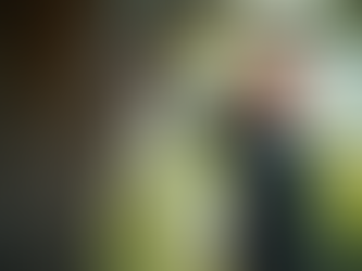 How to Get Accurate Tree Service Estimates in Maryland 