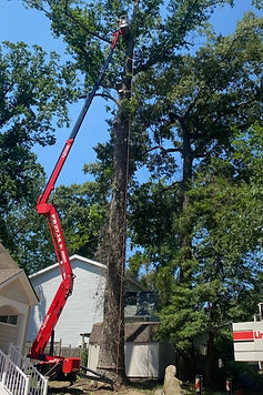 772472357 (1)_edited_edited.jpg