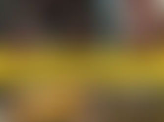 HISTÓRIAS DA VILA DO POVO FELIZ (30) - FAMÍLIA STÜRMER 