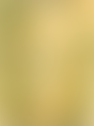 Francisco: O Pastor de Coração Descalço