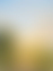 Jesus e o Deus que Mora Fora dos Templos