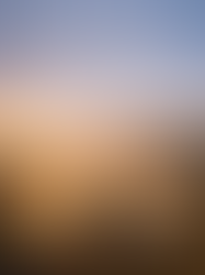 "Pessoa meditando na natureza buscando paz interior", "Celular com notificações simbolizando excesso de informação".