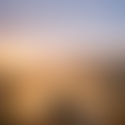 "Pessoa meditando na natureza buscando paz interior", "Celular com notificações simbolizando excesso de informação".