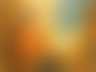 A mulher que lia o mundo