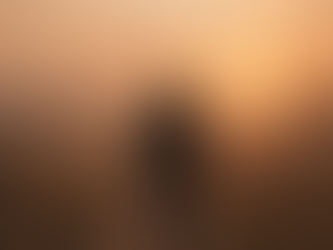 Aprender a viver enquanto se aprende a curar