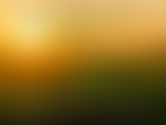 🌿 Viver é Recomeçar Sempre