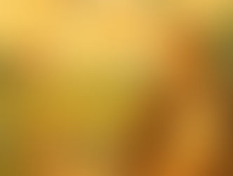 💒Nosso Santo Antônio e a Vila dos Sonhadores