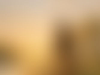 Francisco e o Cântico das Criaturas