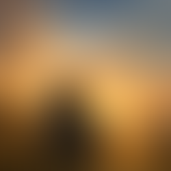 Entre a Essência e os Rótulos