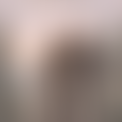 Não Sou Francisco, Mas Caminho com Ele