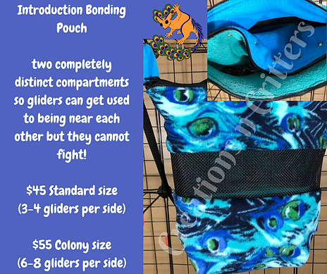 t intro pouch (2).png