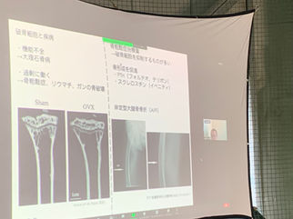 20211219 エコーセミナー_220216_2.jpg