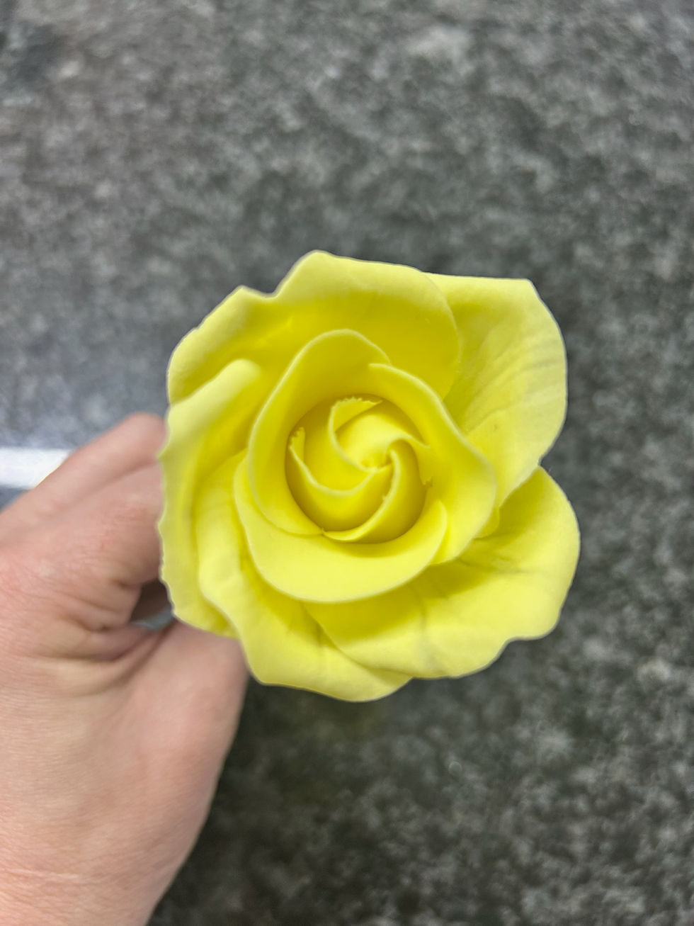 Thumbnail: Medium Roses