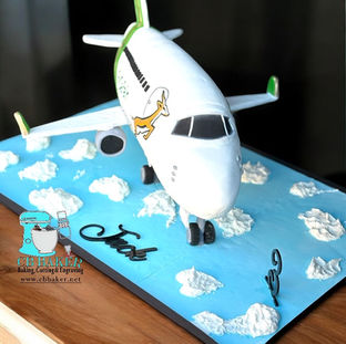 3D Airplane cake
airplane cake