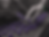 Untitled design (2).png