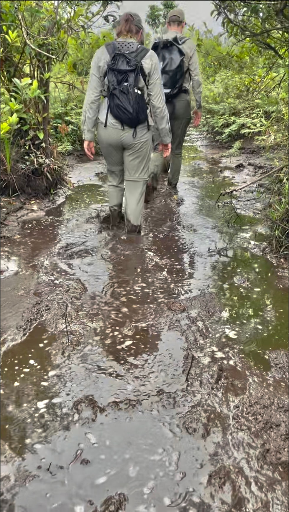 The putrid mud and water of Shit's Creek