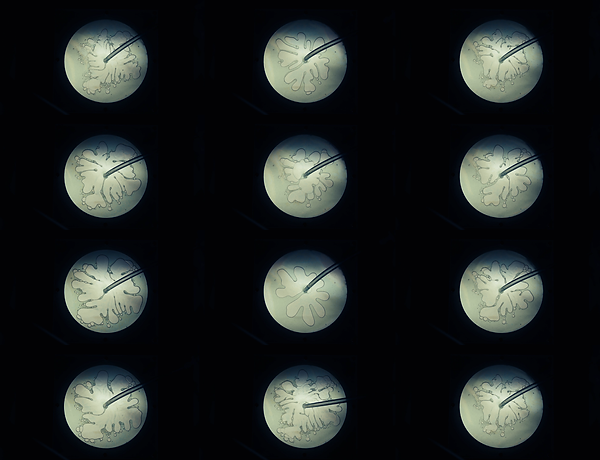 imageofstills-02.png