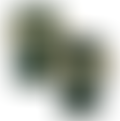 Show Your Colorado State Pride with Custom Football Jerseys: Quality, Affordability, and Style