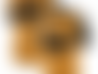 Show Your Tiger Pride: The Ultimate Guide to Custom Missouri Tigers Jerseys