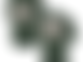 Dive into Fandom: The Allure of Custom Miami Hurricanes Jerseys