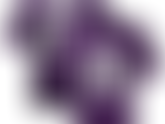 Unveiling the Ultimate Custom Holy Cross Crusaders Jersey: Quality, Style, and Fandom Unleashed