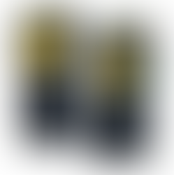 Show Your True Colors with Custom Baylor Bears Basketball Jerseys