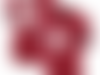 Unleash Your Fandom with Marvin Harrison Jr Jerseys: Quality, Style, and Affordability