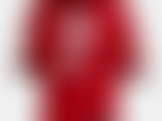 Show Your Fandom with High-Quality Matthew Stafford and Georgia Bulldogs Jerseys