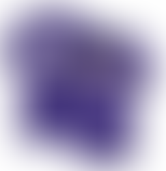 Show Off Your Fandom with High-Quality Brayden Jobert LSU Tigers Baseball Jersey