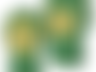 Show Your Fandom with a Custom Oregon Ducks Jersey