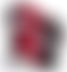 Brock Bowers Jersey: Elevate Your Georgia Bulldogs Fandom with Style and Quality
