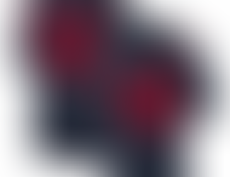 Embracing Excellence: The Rob Gronkowski NCAA Arizona Wildcats Jersey