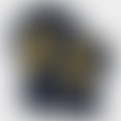 Show Your Fandom with Charles Woodson and Michigan Wolverines Jerseys