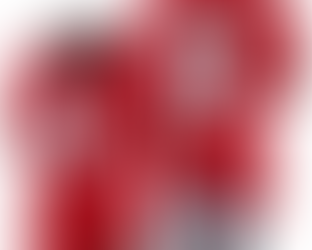 Brock Bowers Jersey: Elevate Your Fandom with Style, Quality, and Affordability