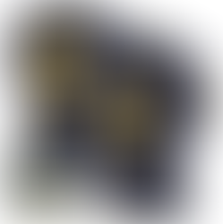 Elevate Your Wolverines Fandom with Blake Corum Jersey: The Ultimate Fan Gear for Michigan Football Enthusiasts