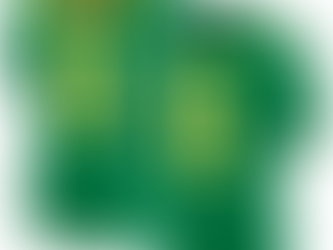 Elevate Your Fandom with the De’Anthony Thomas Football Jersey