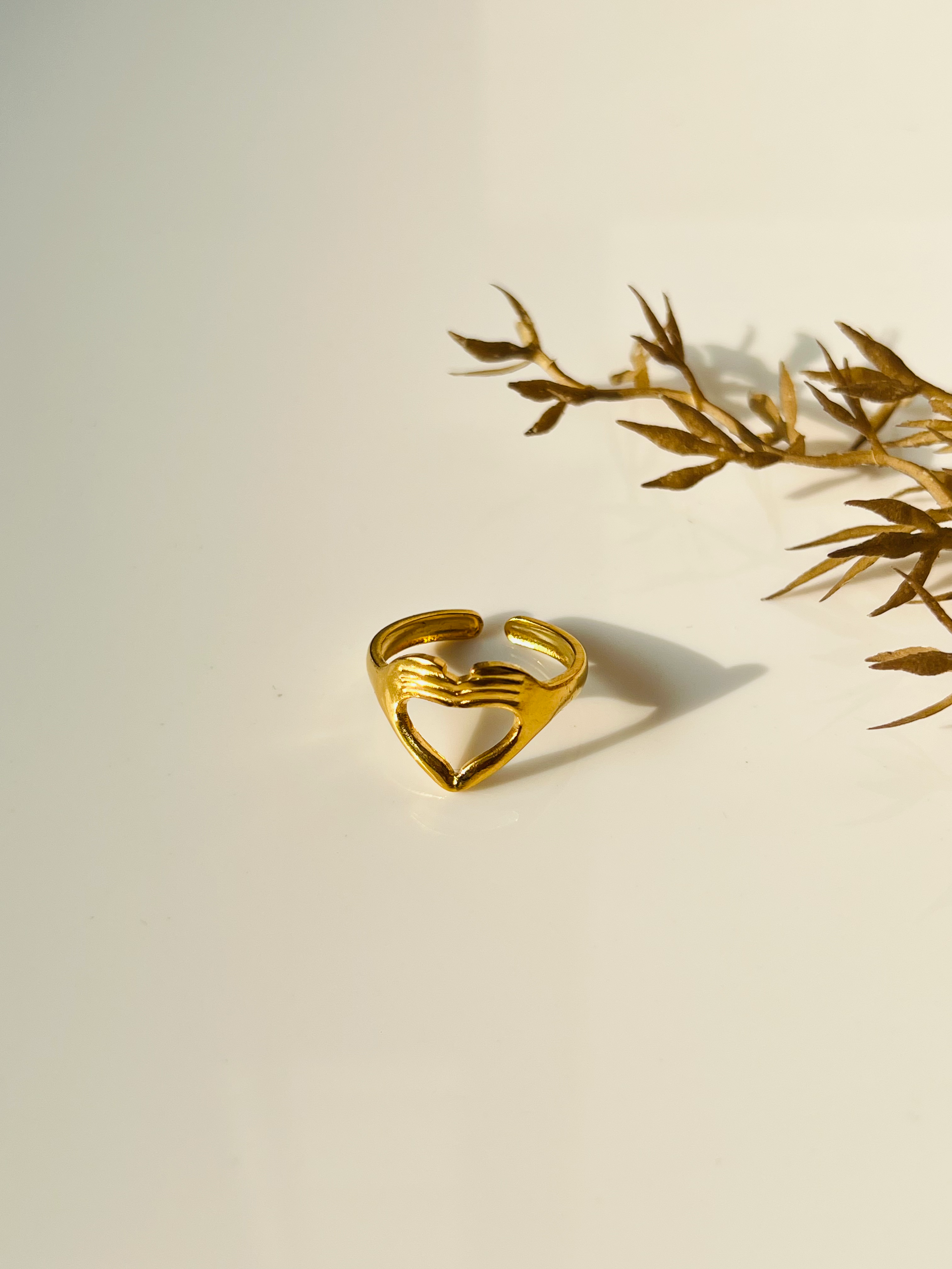 Two hands forming a hollow heart ring